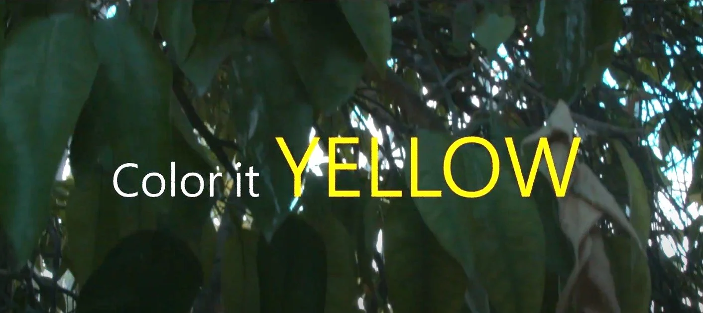 Documentary
Directed by Leen Awad
Cinematographers
Mohammad El Amaireh
Aya Baiteri