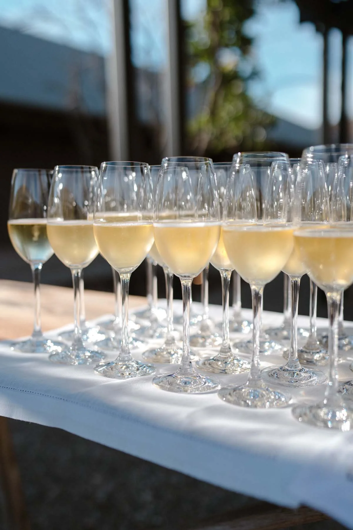 Hilt Estate Vineyard Wedding Rehearsal Dinner Lompoc shot by Olivia Rae James