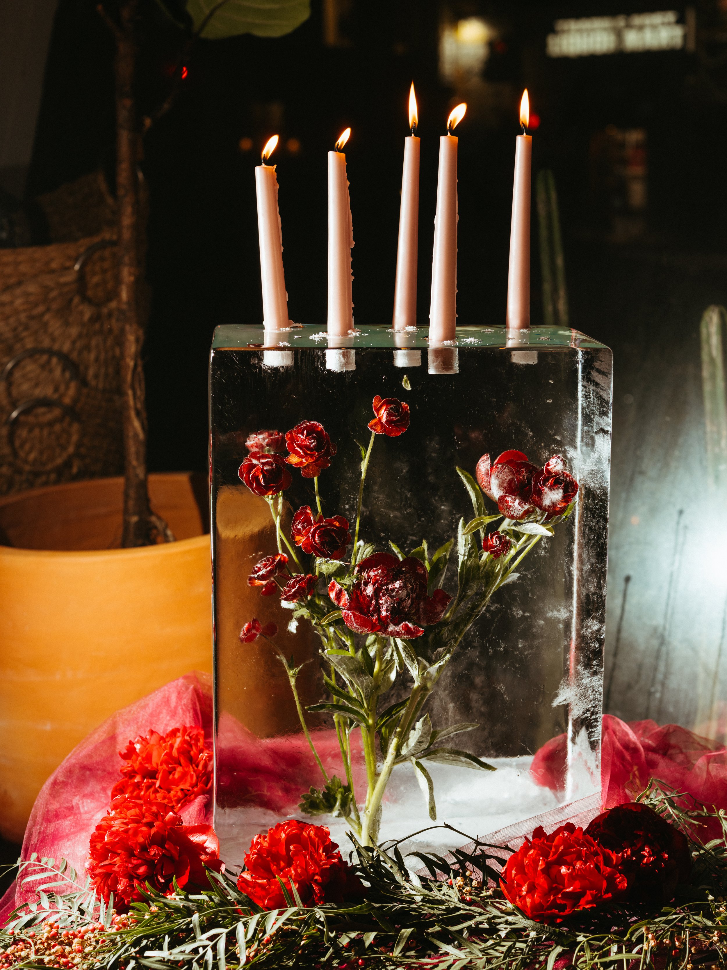 Nicole Arena Parties _ Holiday _ Simran Malik-164.jpg