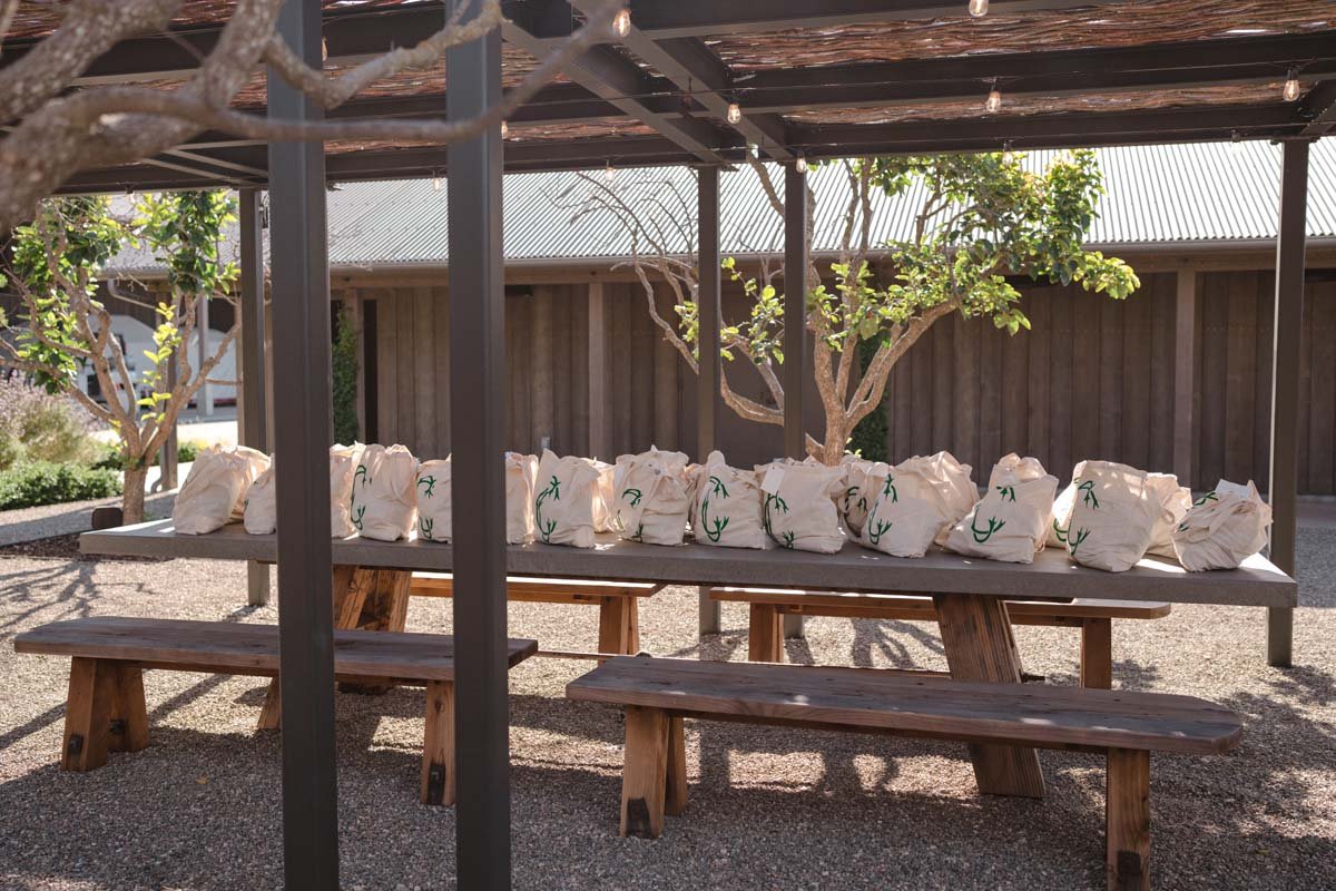 Hilt Estate Vineyard Wedding Rehearsal Dinner Lompoc shot by Olivia Rae James