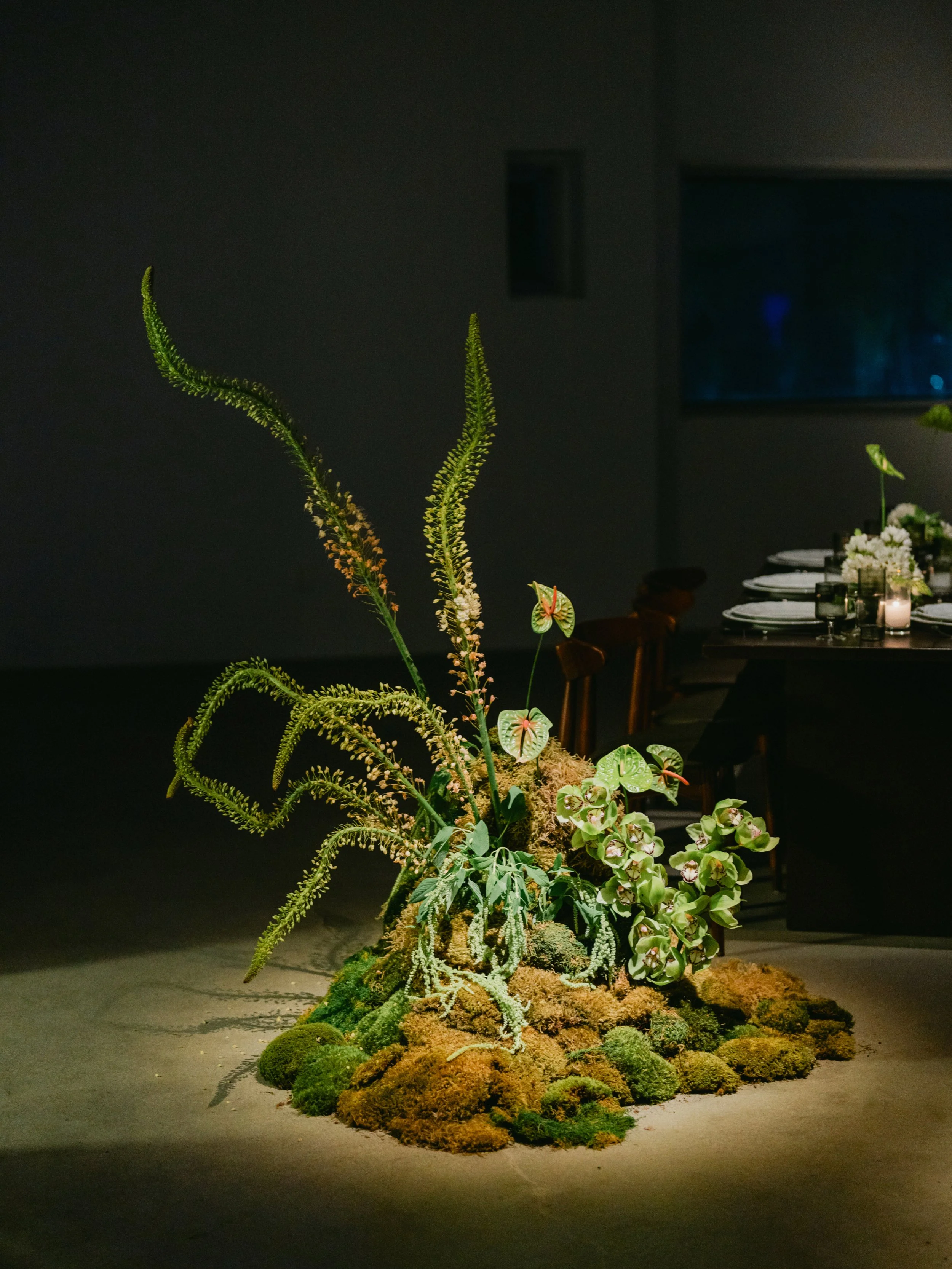 57 Windward Launch-446.jpg