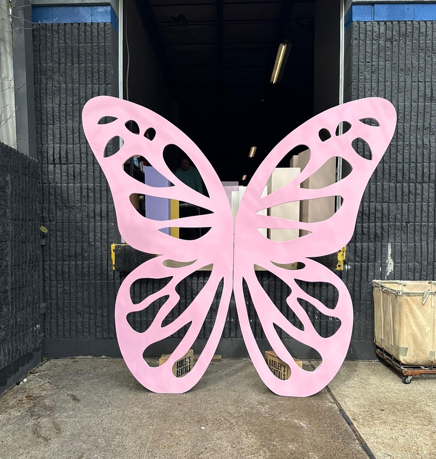 Fly into a world of color with our stunning 8&rsquo;x8&rsquo; butterfly rental! 🦋✨ Choose from 75 vibrant colors to make your event pop! Only $200. Book yours today and let your imagination take flight! 🌈