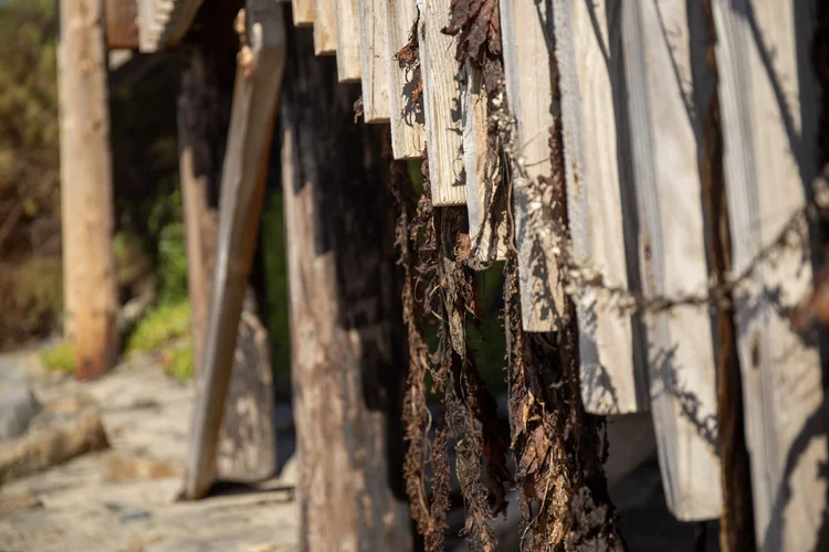 Dr. Kat supporting a birth