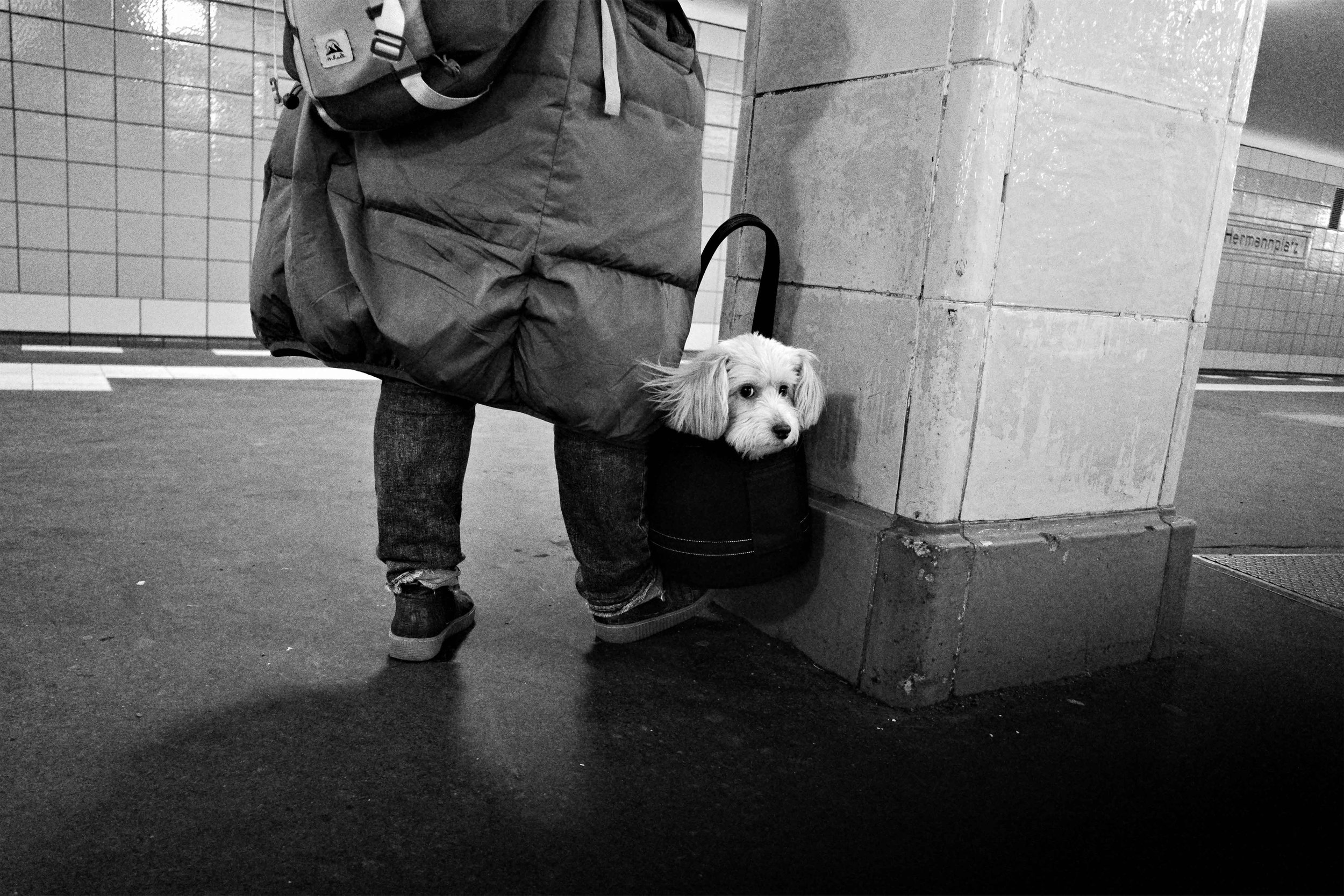 Photowalk Nightwalk Januar 2026_MarvinMachler-24.jpg