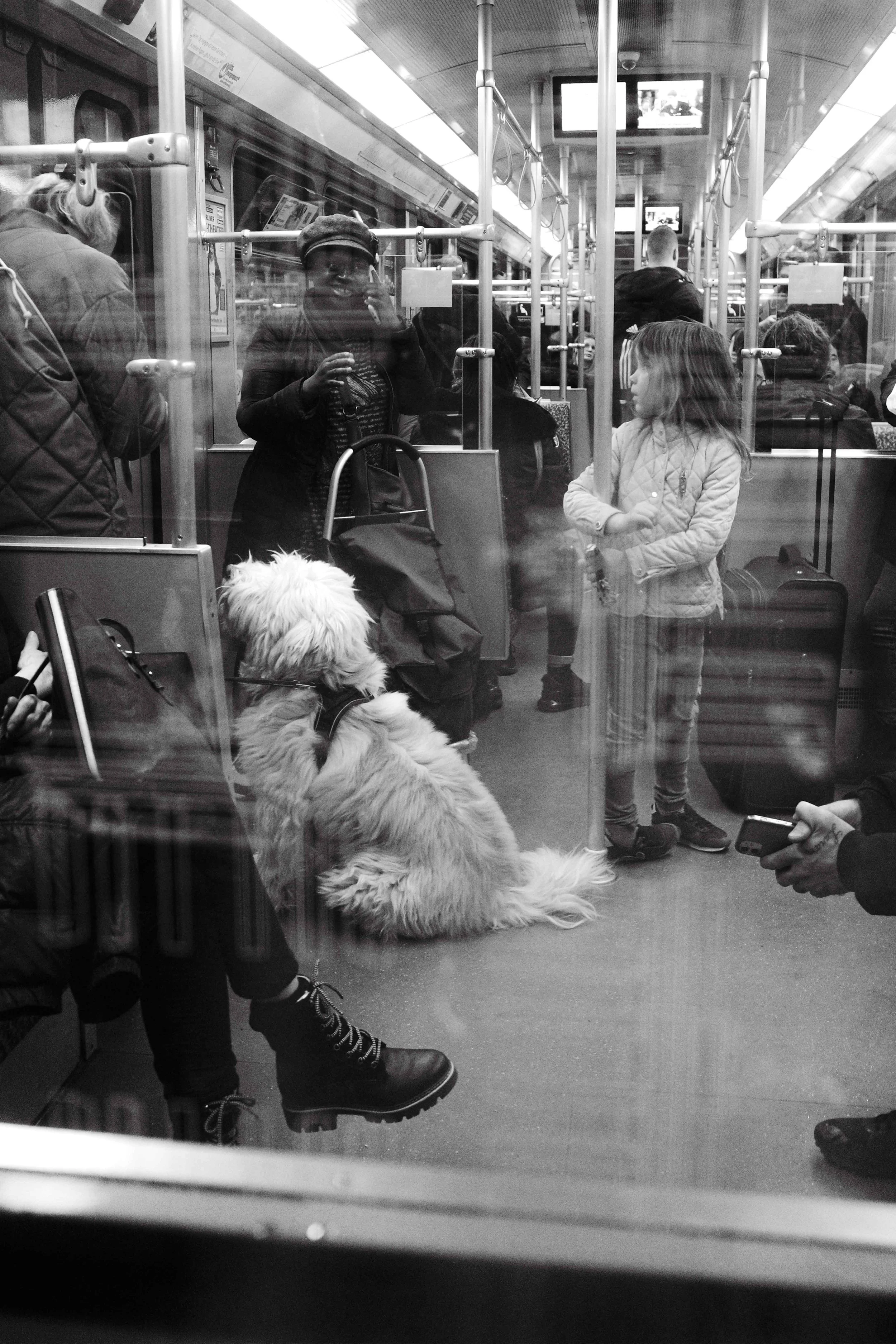 Photowalk 24.03.23-11.jpg