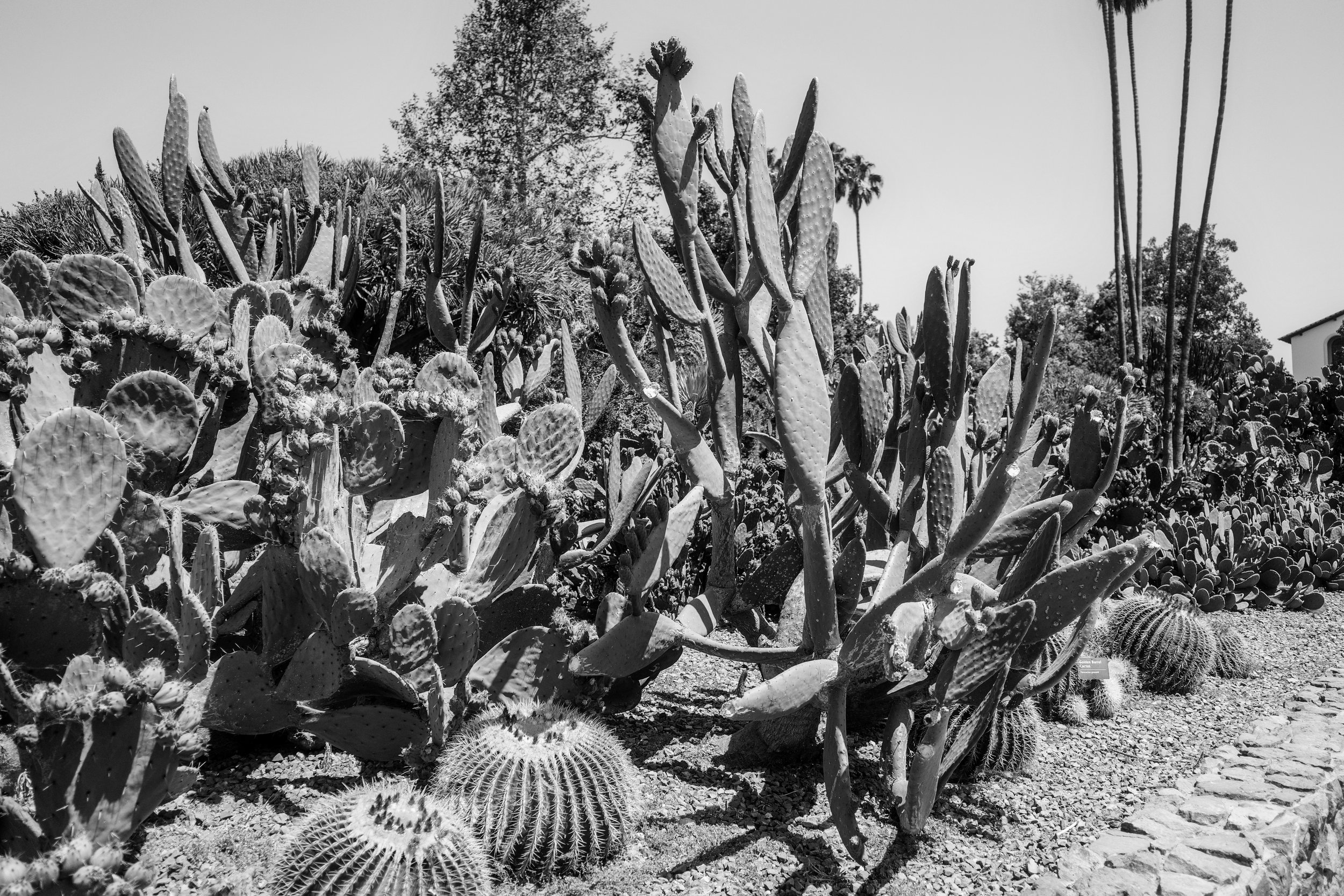 LA_Tag023-176.jpg
