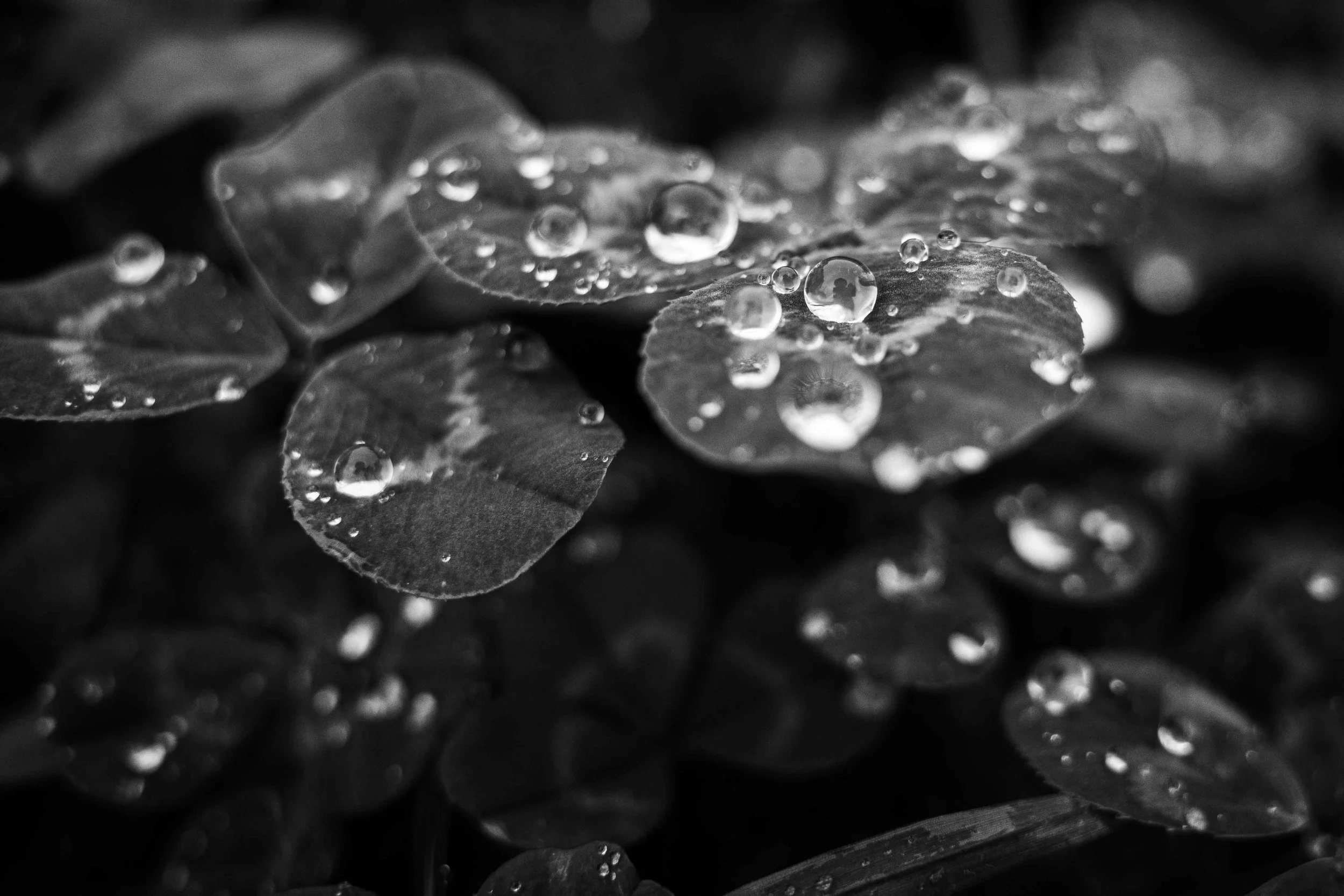 Lissabon BW Marvin Machler.jpg