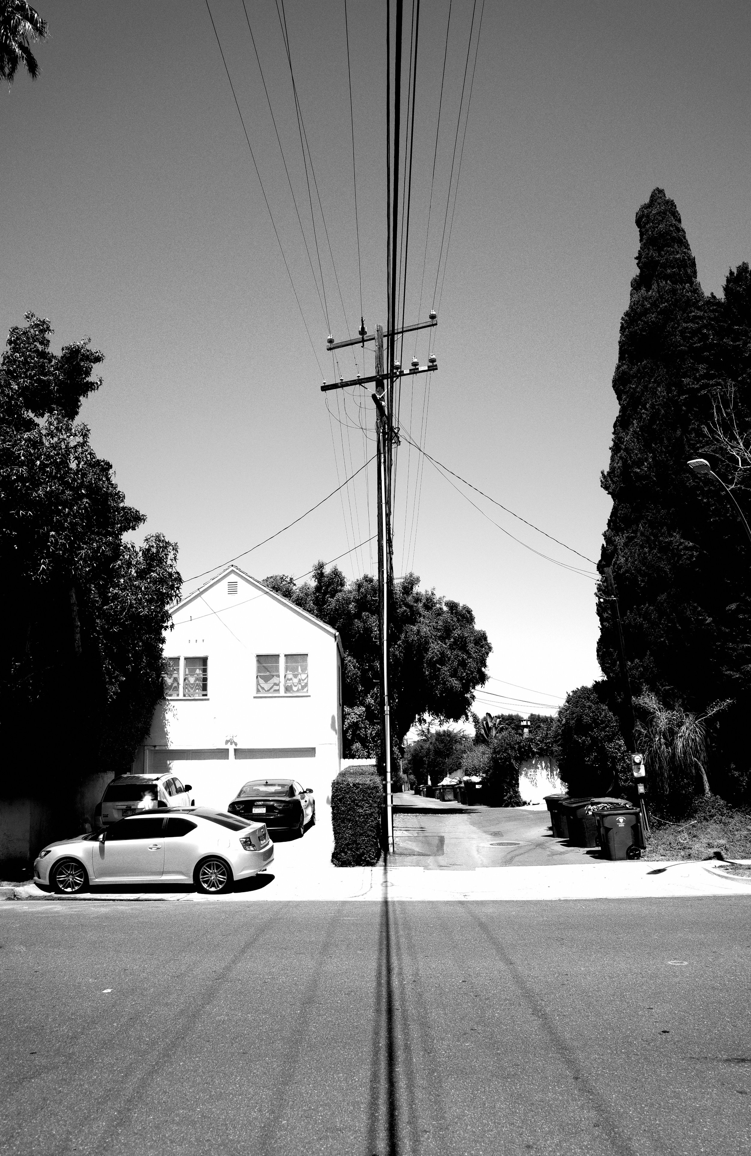 LA_Tag023-204.jpg
