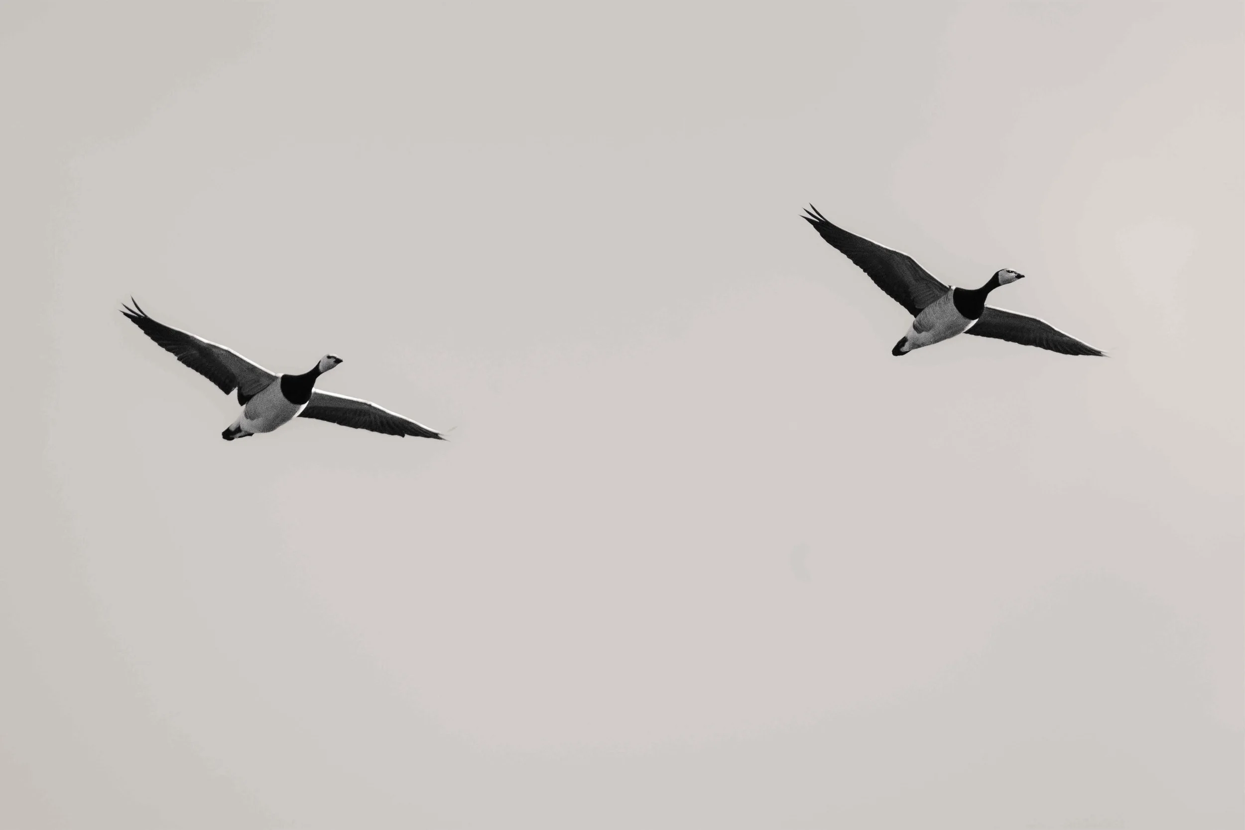 Foehr-2026_MarvinMachler-115.jpg