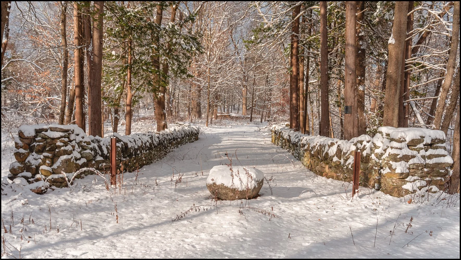 firstsnow2025 (9 of 28).jpg
