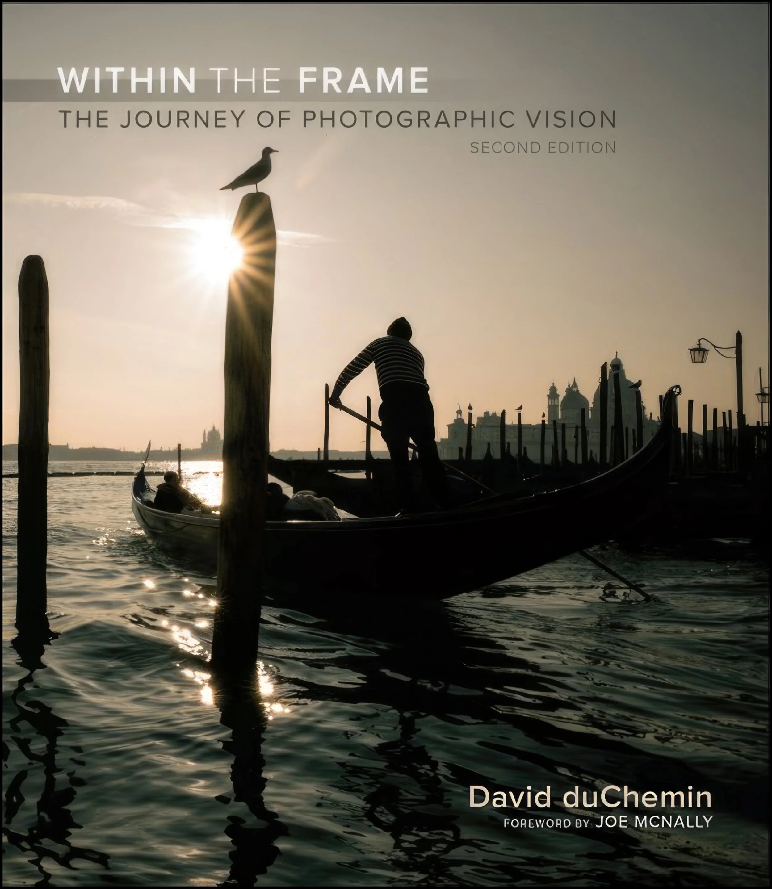 withintheframe.jpg