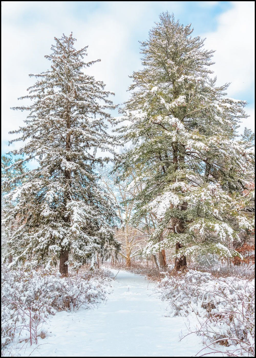 firstsnow2025 (18 of 28).jpg