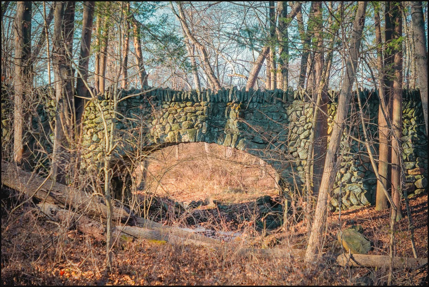 industar22 (11 of 17).jpg