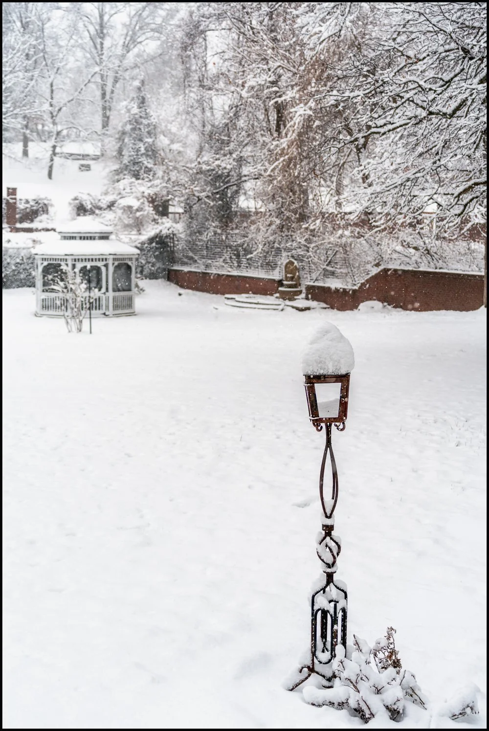 firstsnow2025 (1 of 28).jpg