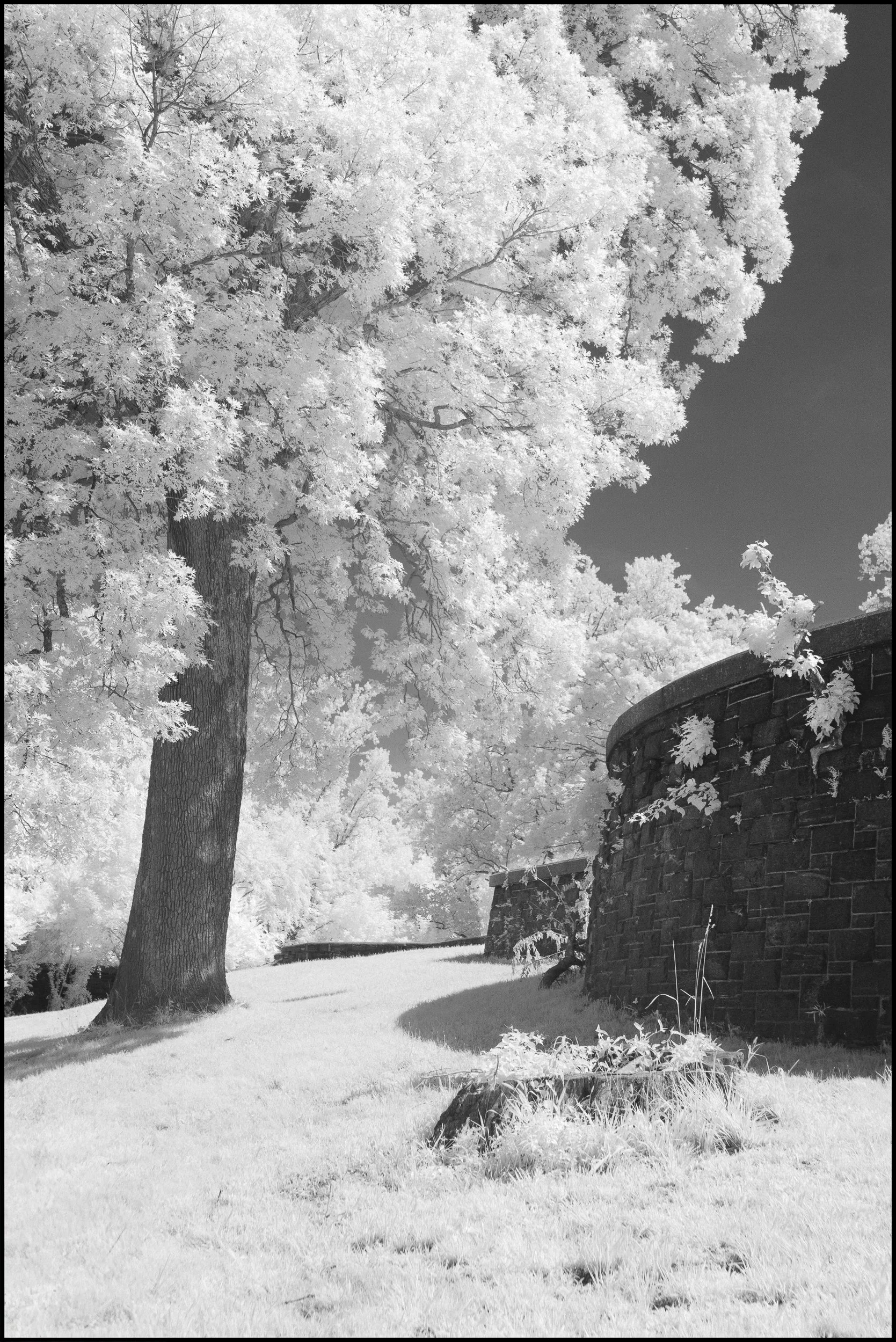 rockwoodhallir (10 of 25).jpg