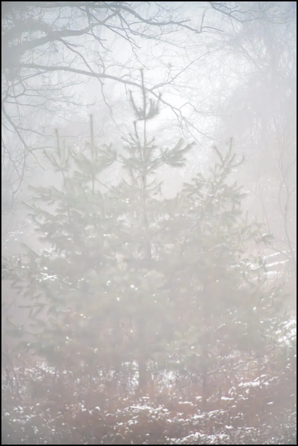 canonfd300mmf56 (10 of 10).jpg