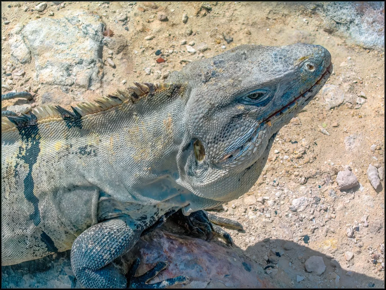 mexico 2007 (7 of 37).jpg