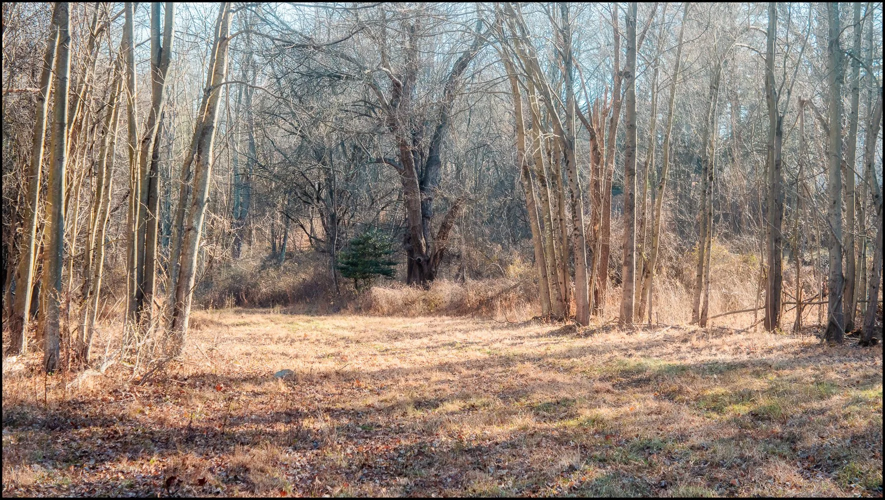 industar22 (9 of 17).jpg