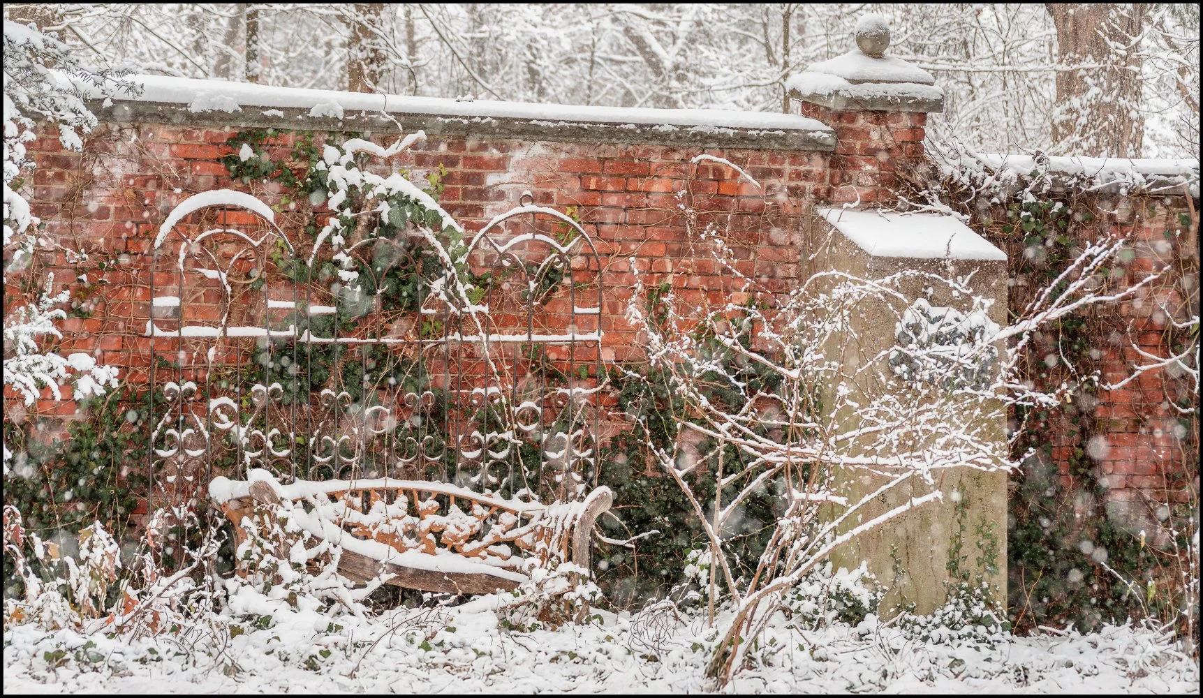 firstsnow2025 (4 of 28).jpg