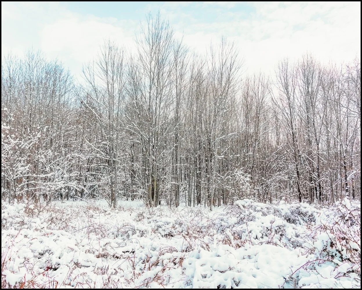 firstsnow2025 (22 of 28).jpg