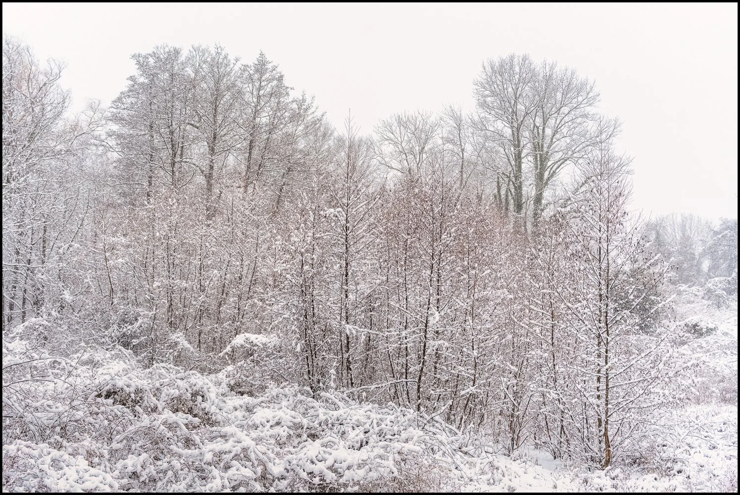 firstsnow2025 (6 of 28).jpg