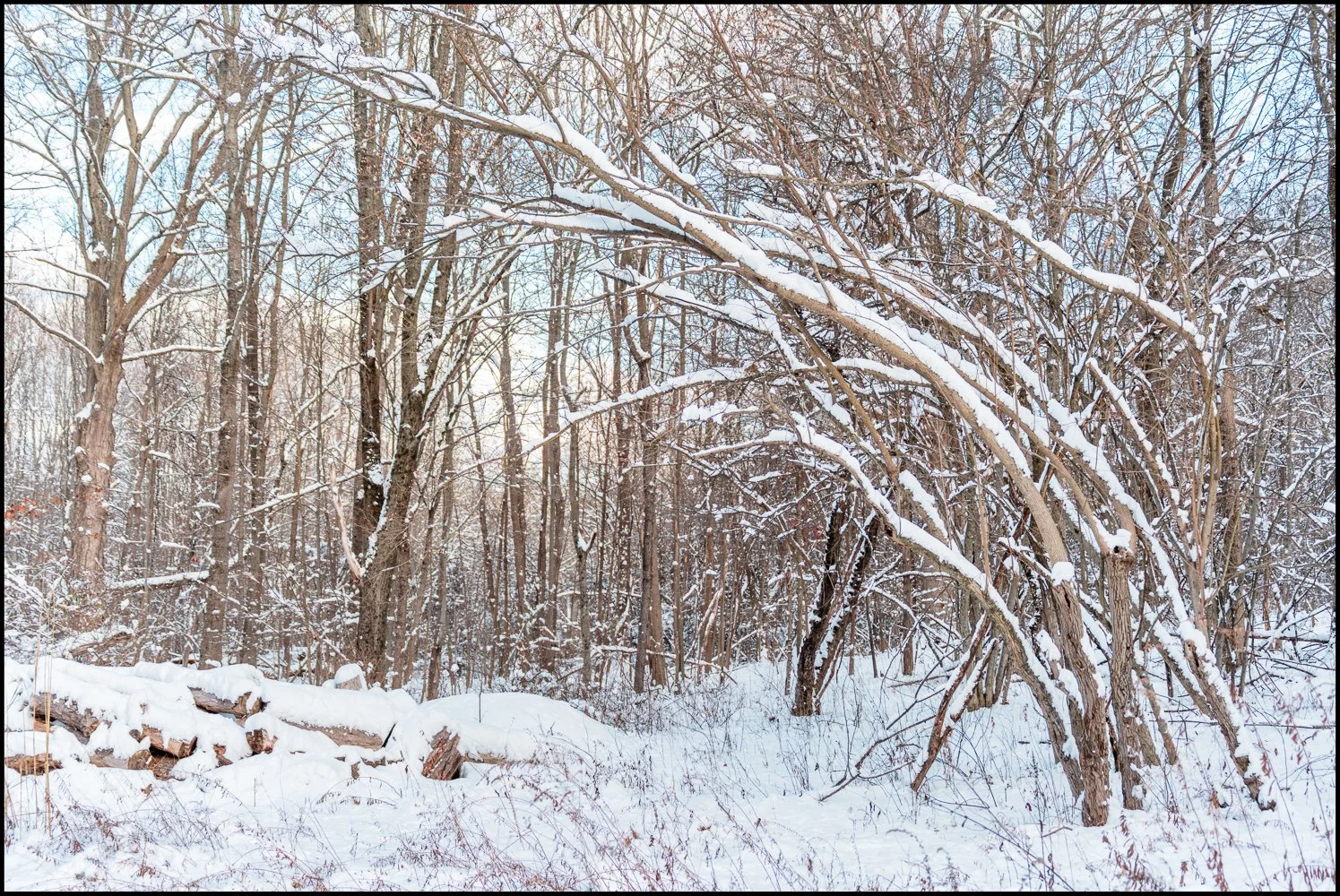 firstsnow2025 (27 of 28).jpg