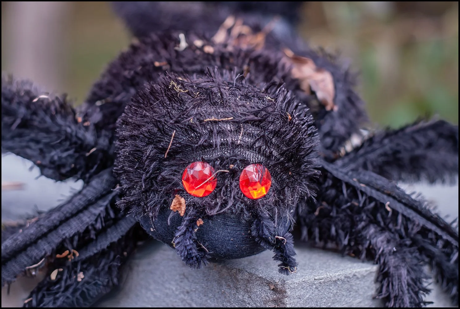 Hallowe'en 2025.  Briarcliff Manor, NY, October 2025