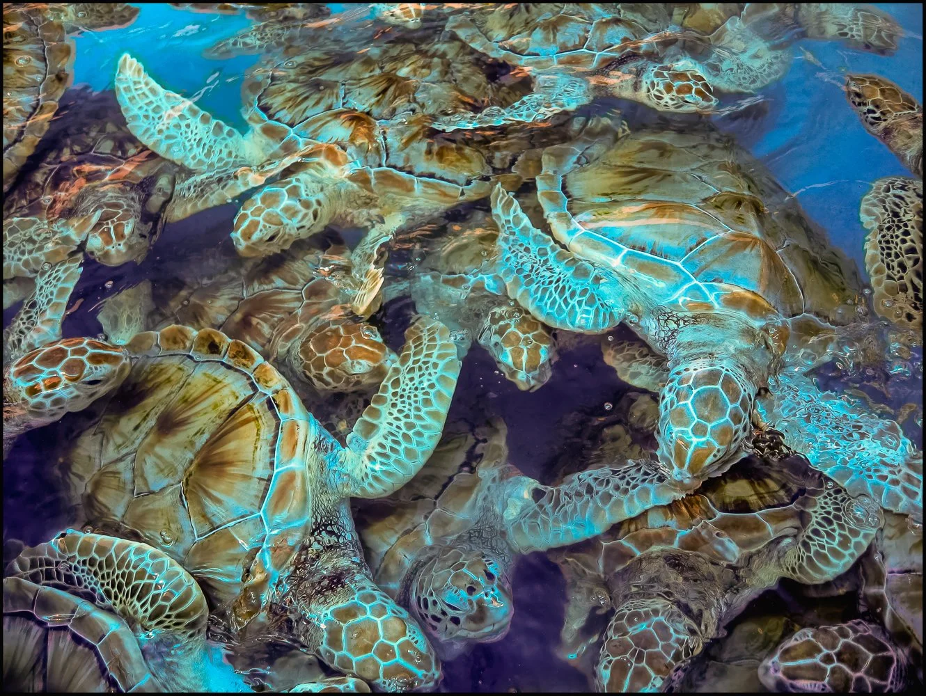 mexico 2007 (3 of 37).jpg