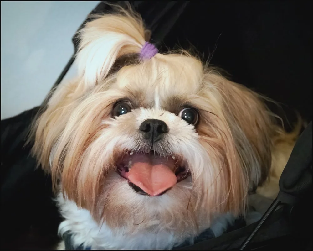 peekskill (32 of 39).jpg