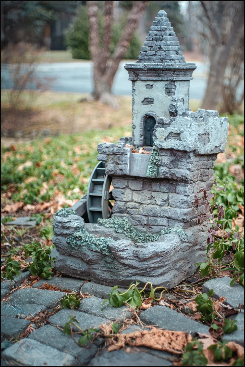 minolta45mmf2 (34 of 36).jpg