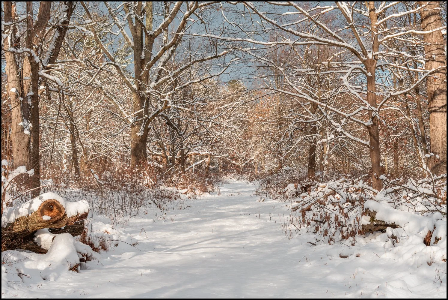 firstsnow2025 (12 of 28).jpg