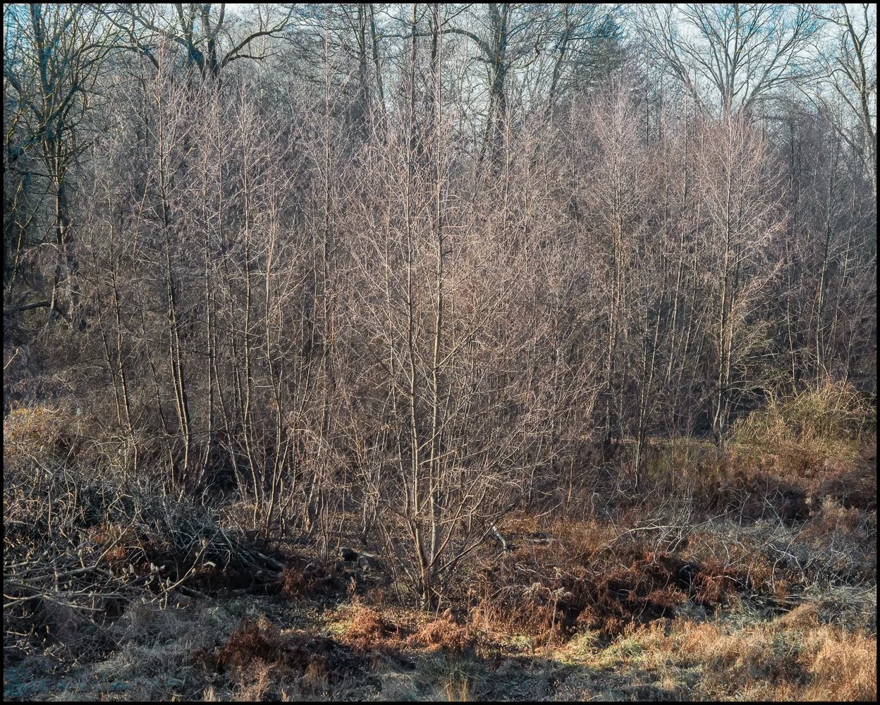 industar22 (2 of 17).jpg