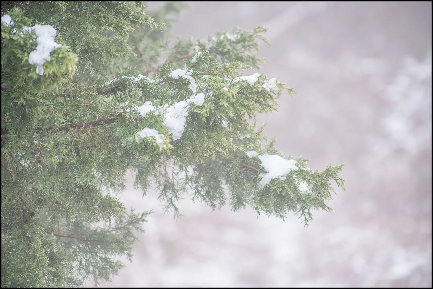 canonFD300mmf5.6 (1 of 1).jpg