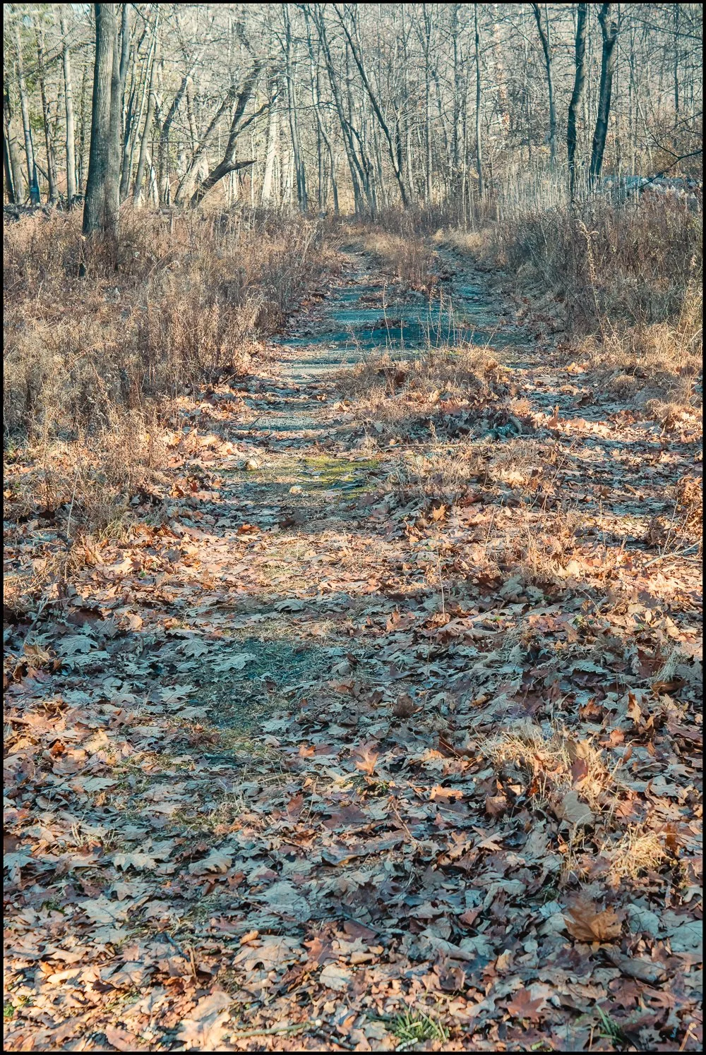 industar22 (7 of 17).jpg