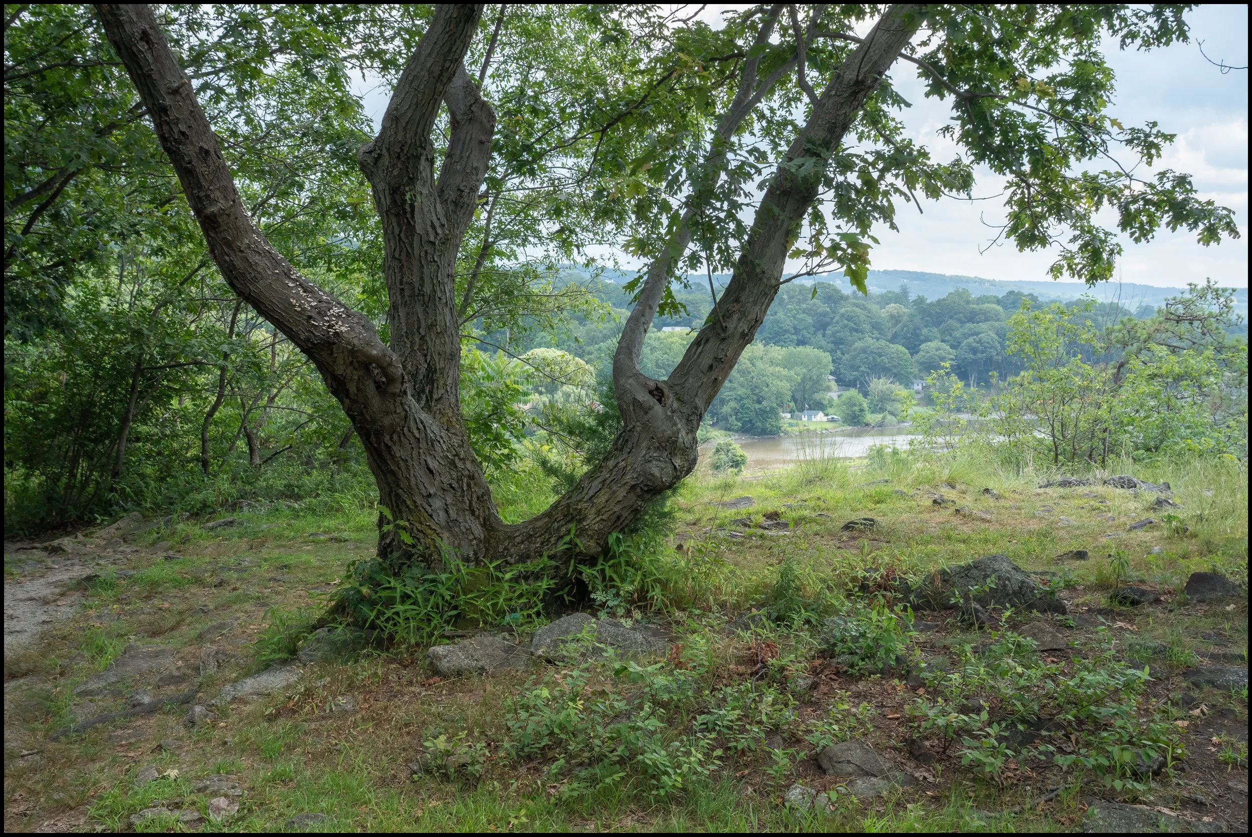 littlestonypoint (20 of 32).jpg