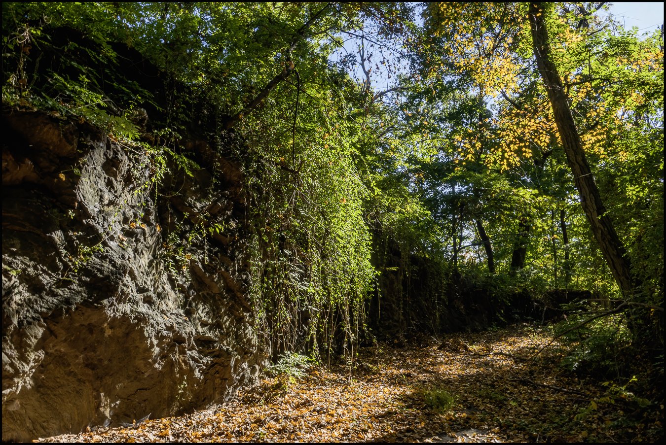 sonyrx10-iv (11 of 25).jpg