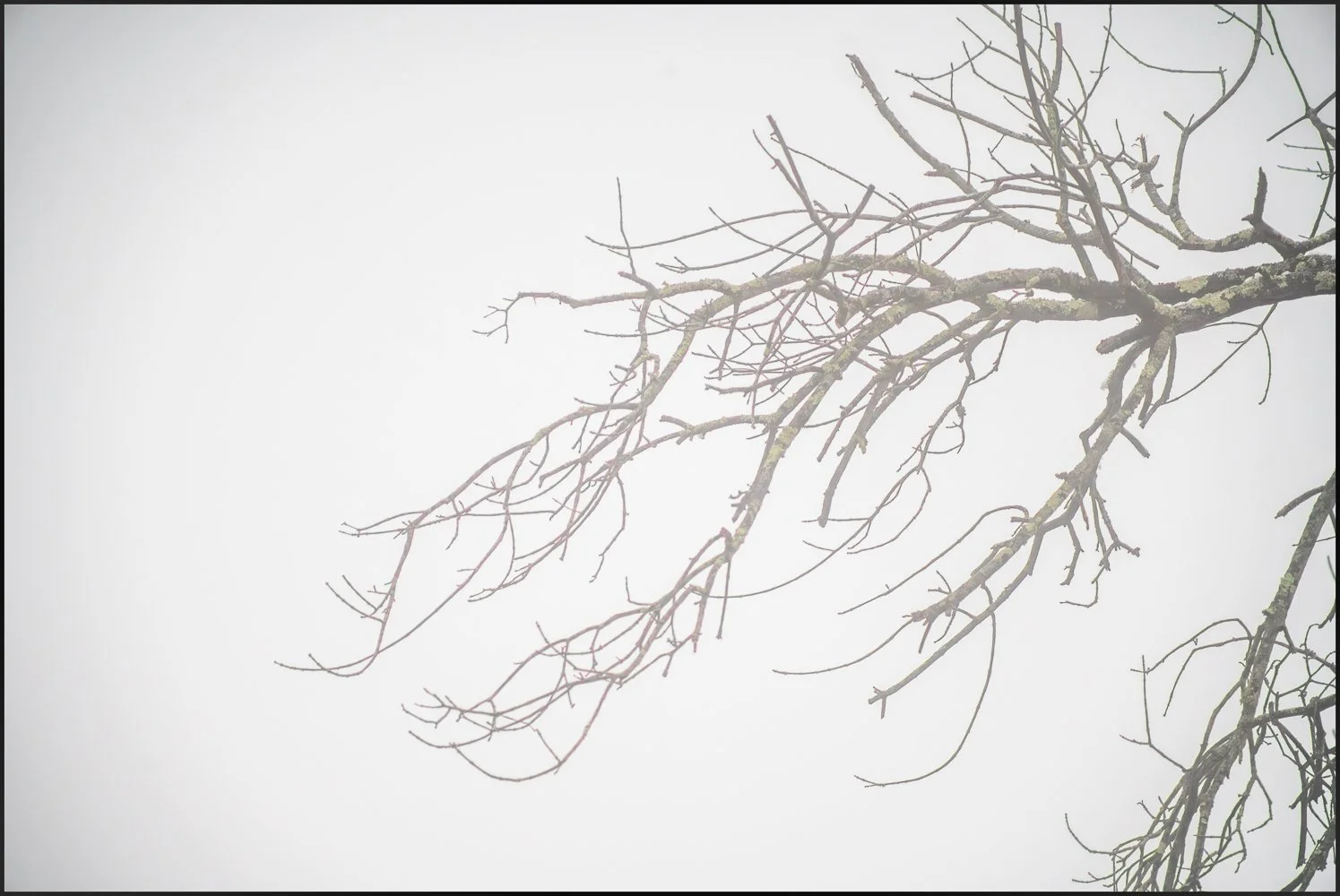 canonfd300mmf56 (6 of 10).jpg