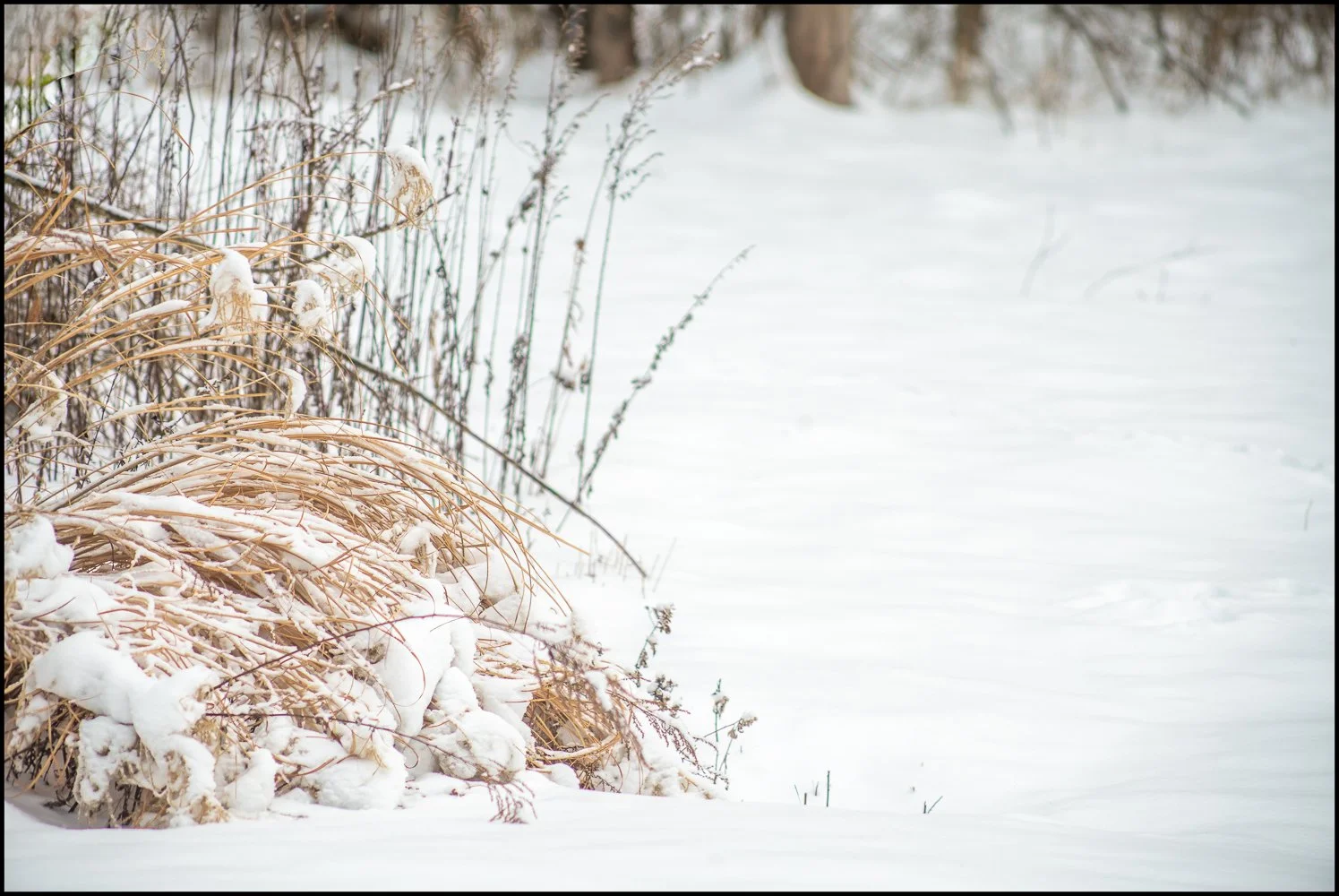 canonfd300mmf56 (2 of 10).jpg