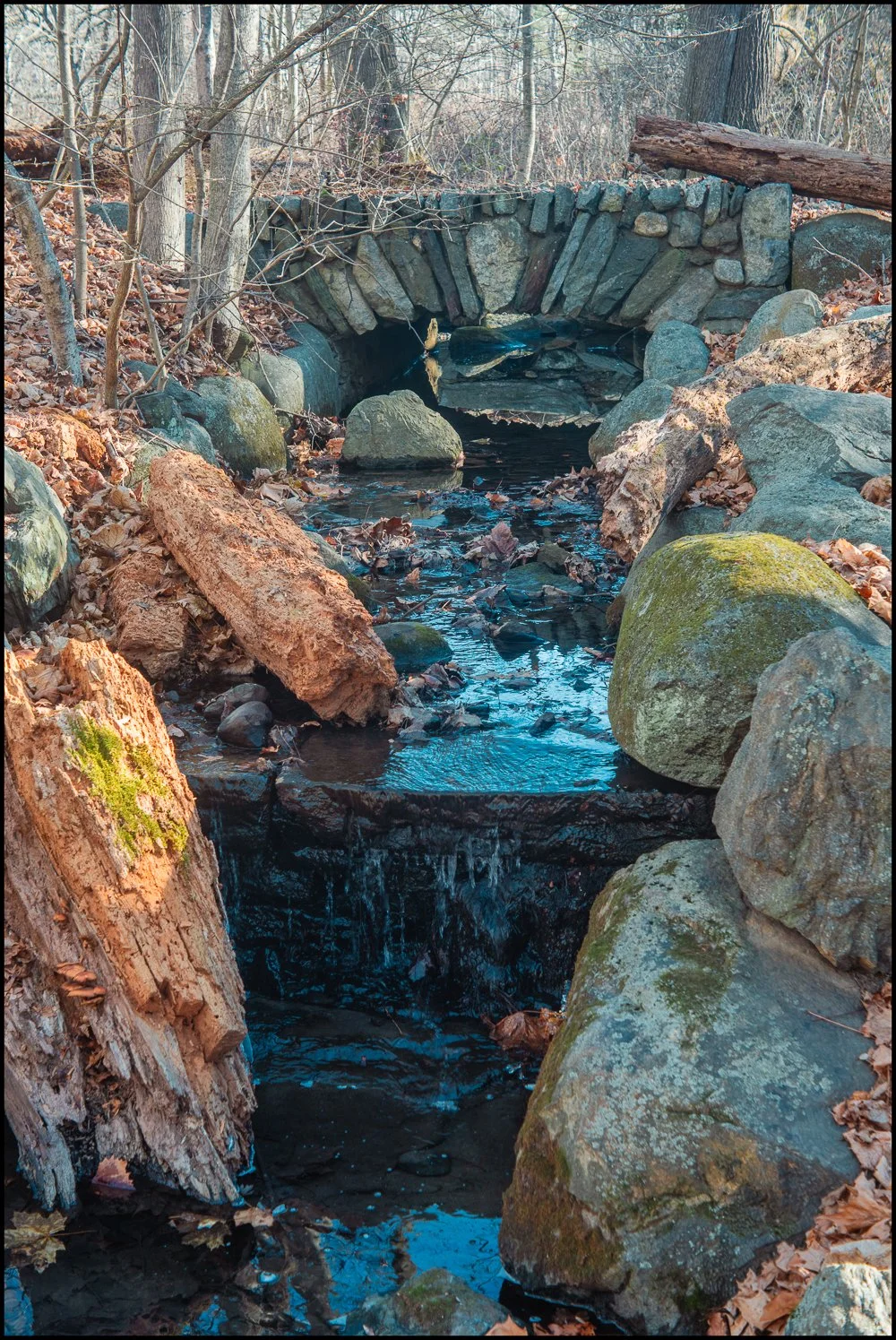 Small bridge across from my house.  December 2025.
