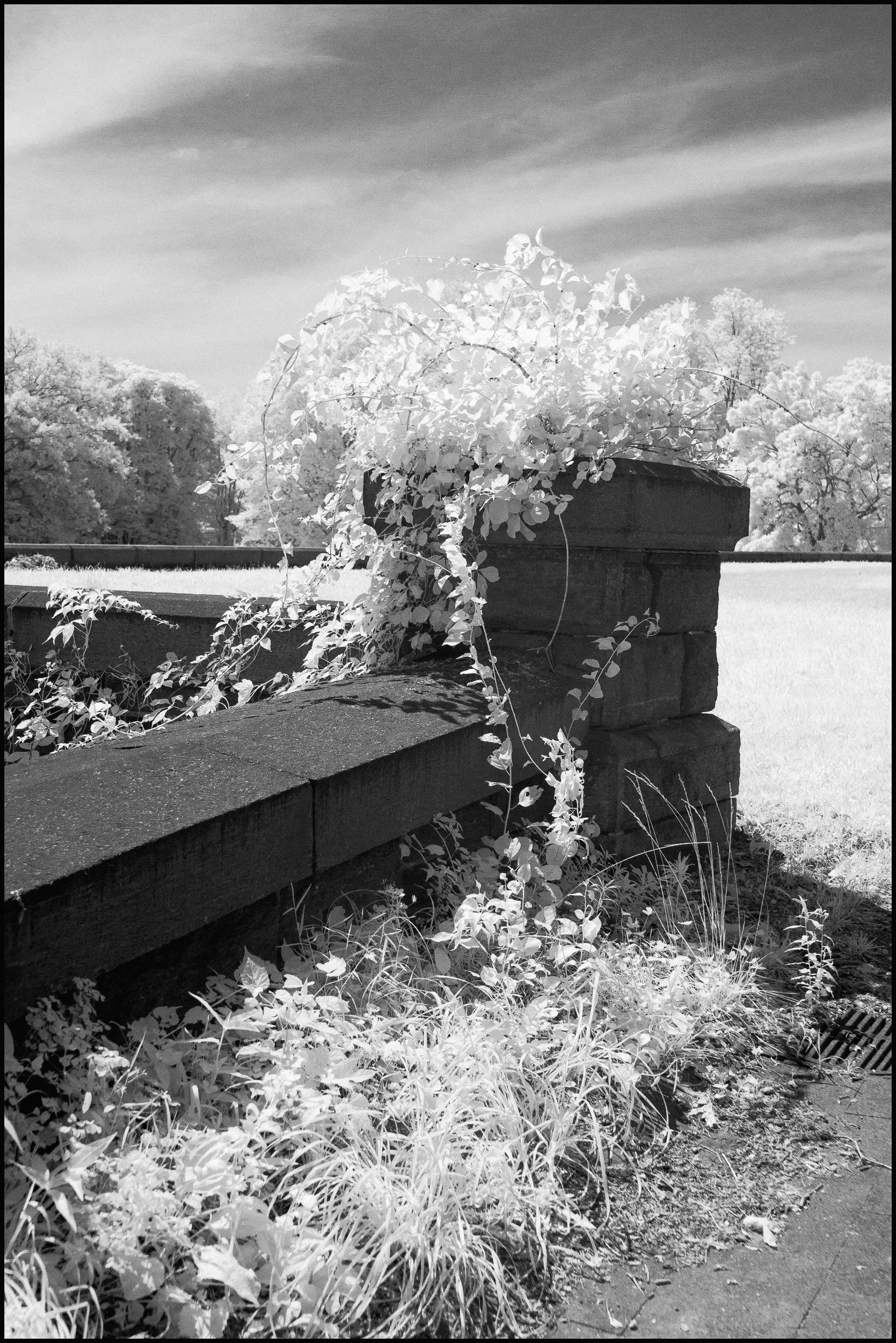 rockwoodhallir (19 of 25).jpg