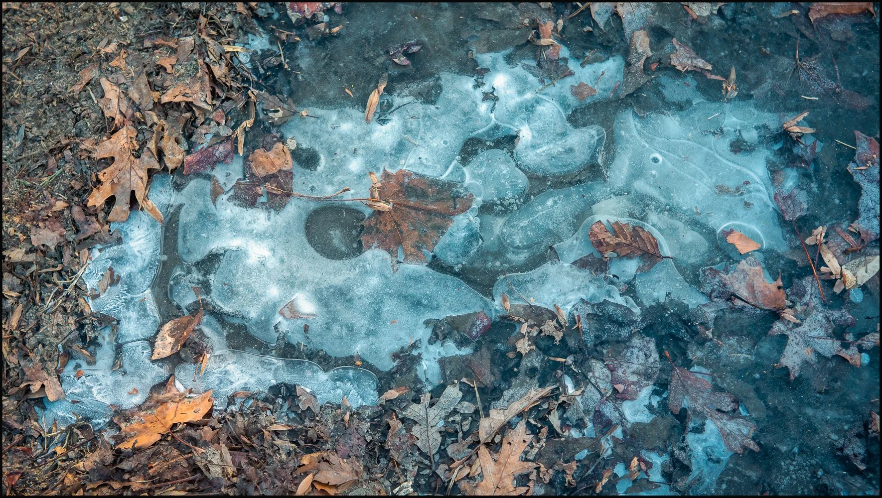 industar22 (6 of 17).jpg