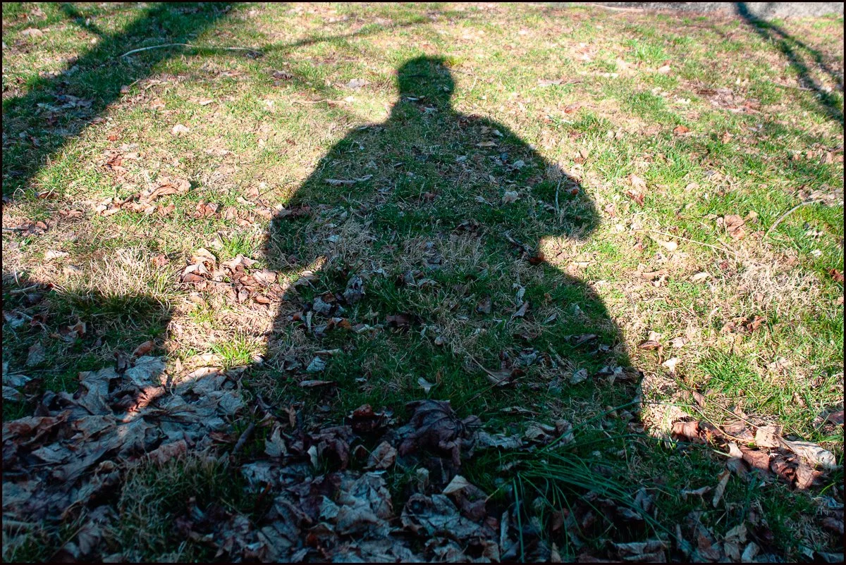 SonyR1 (25 of 37).jpg