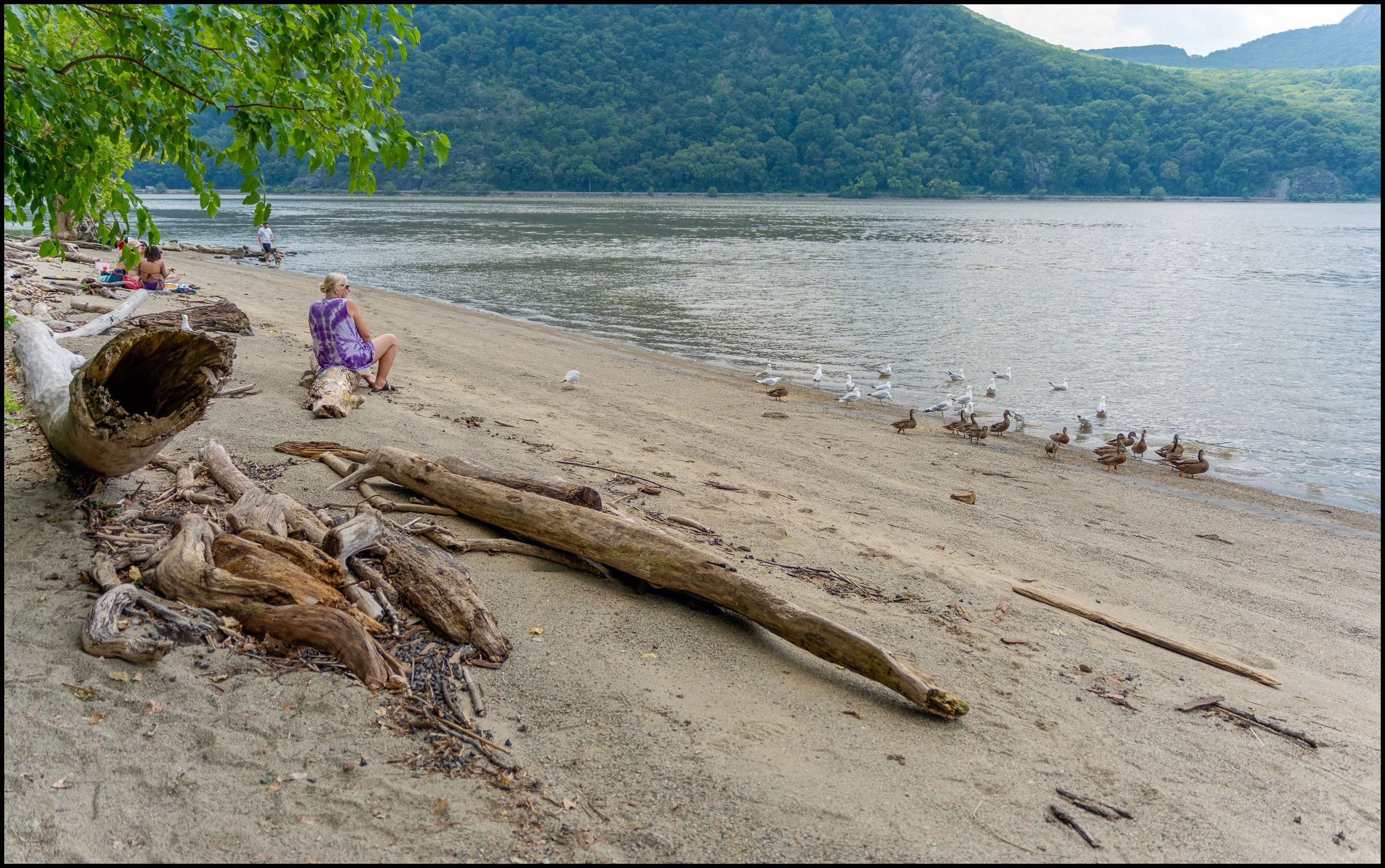 littlestonypoint (23 of 32).jpg