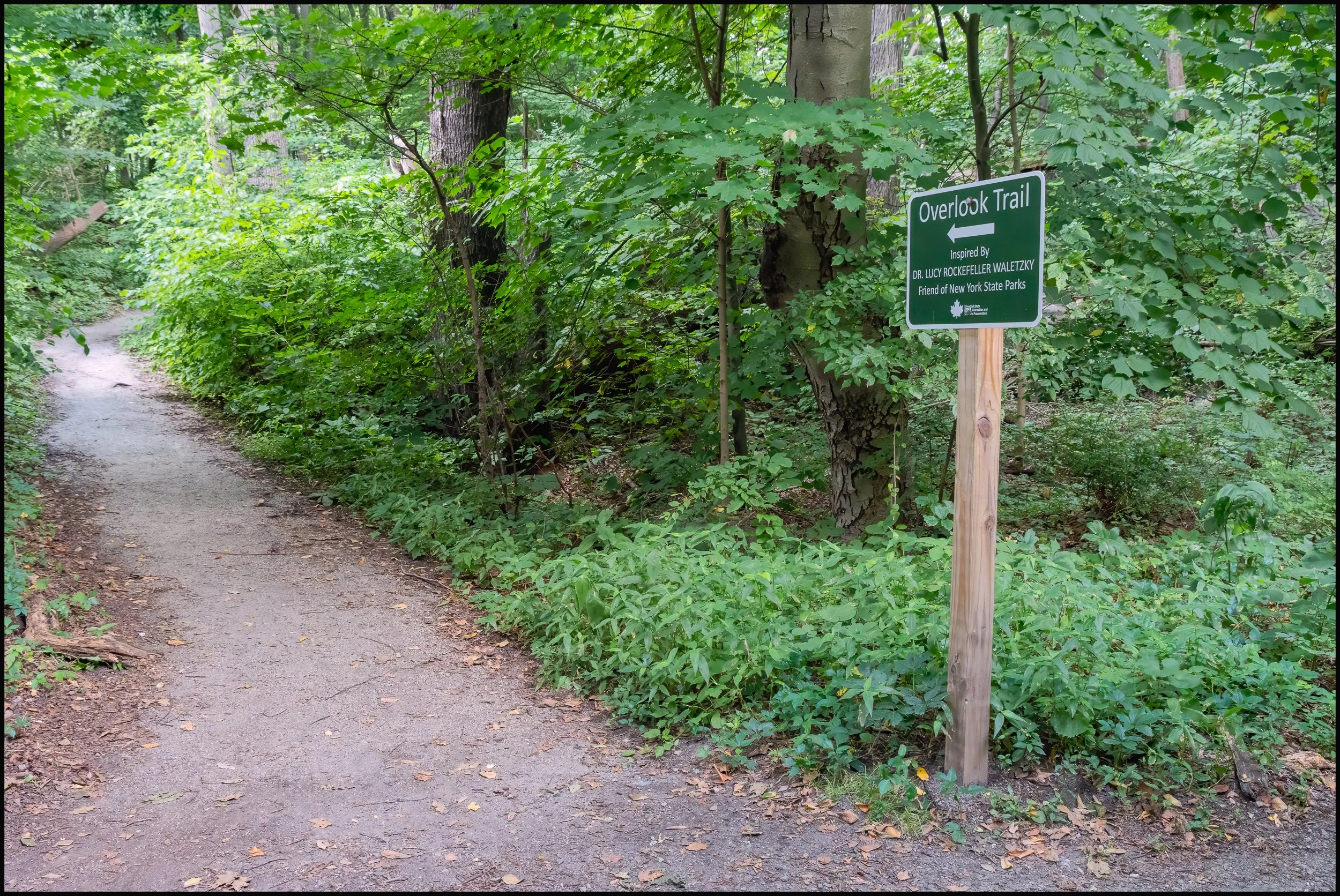 littlestonypoint (9 of 32).jpg