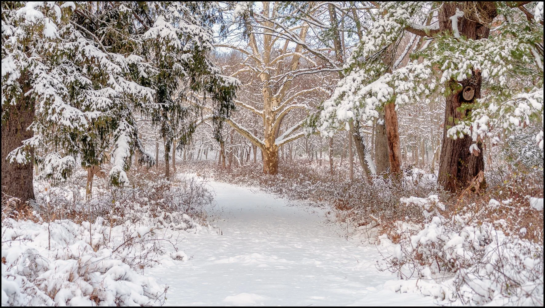 firstsnow2025 (19 of 28).jpg