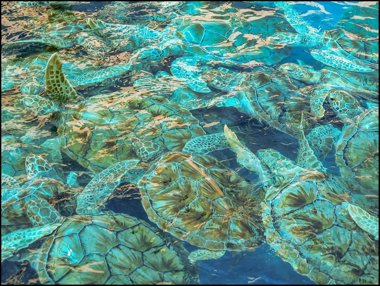 mexico 2007 (2 of 37).jpg