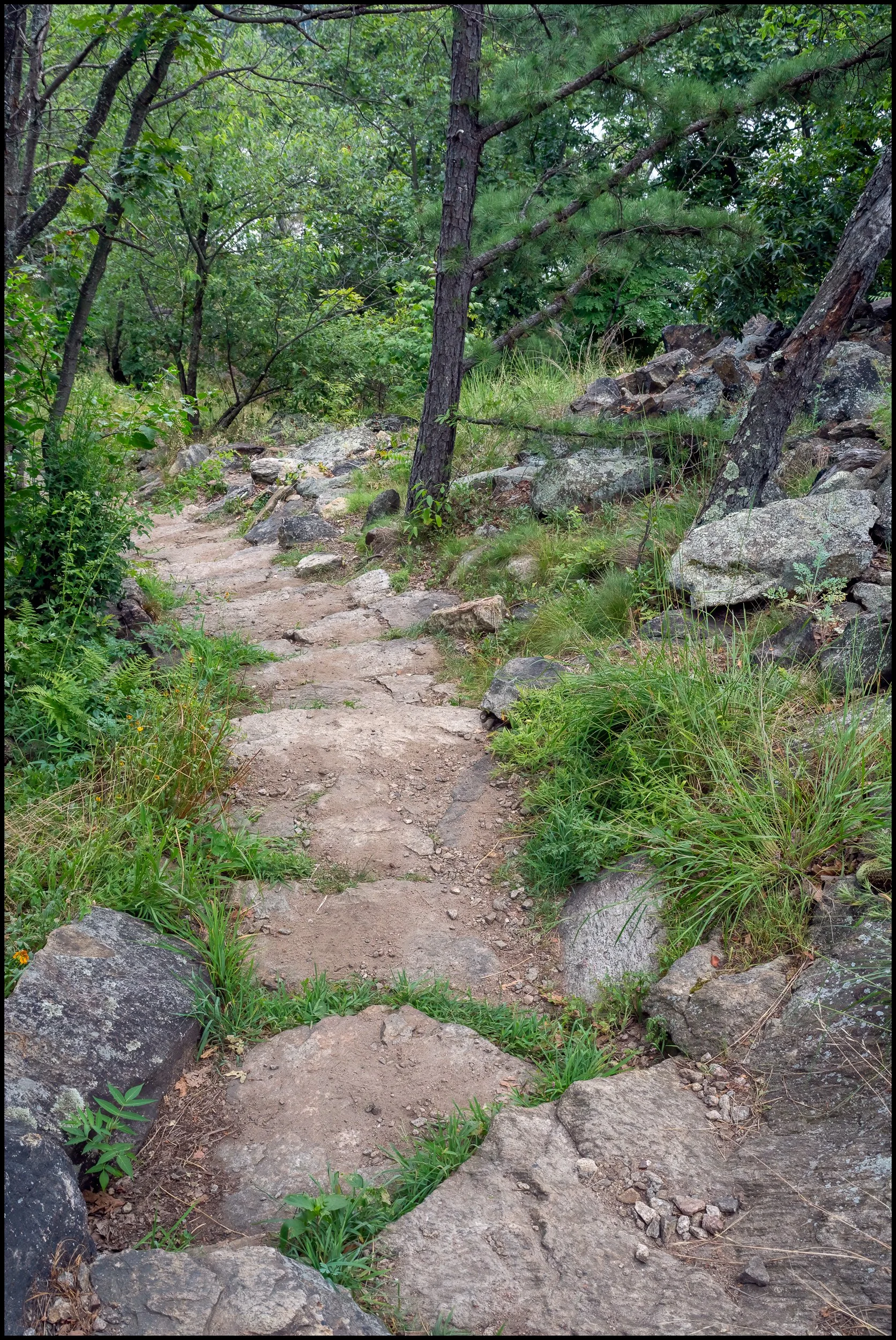 littlestonypoint (19 of 32).jpg