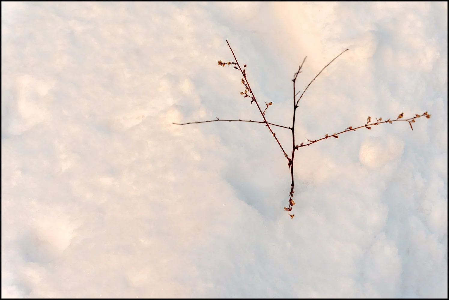 firstsnow2025 (23 of 28).jpg