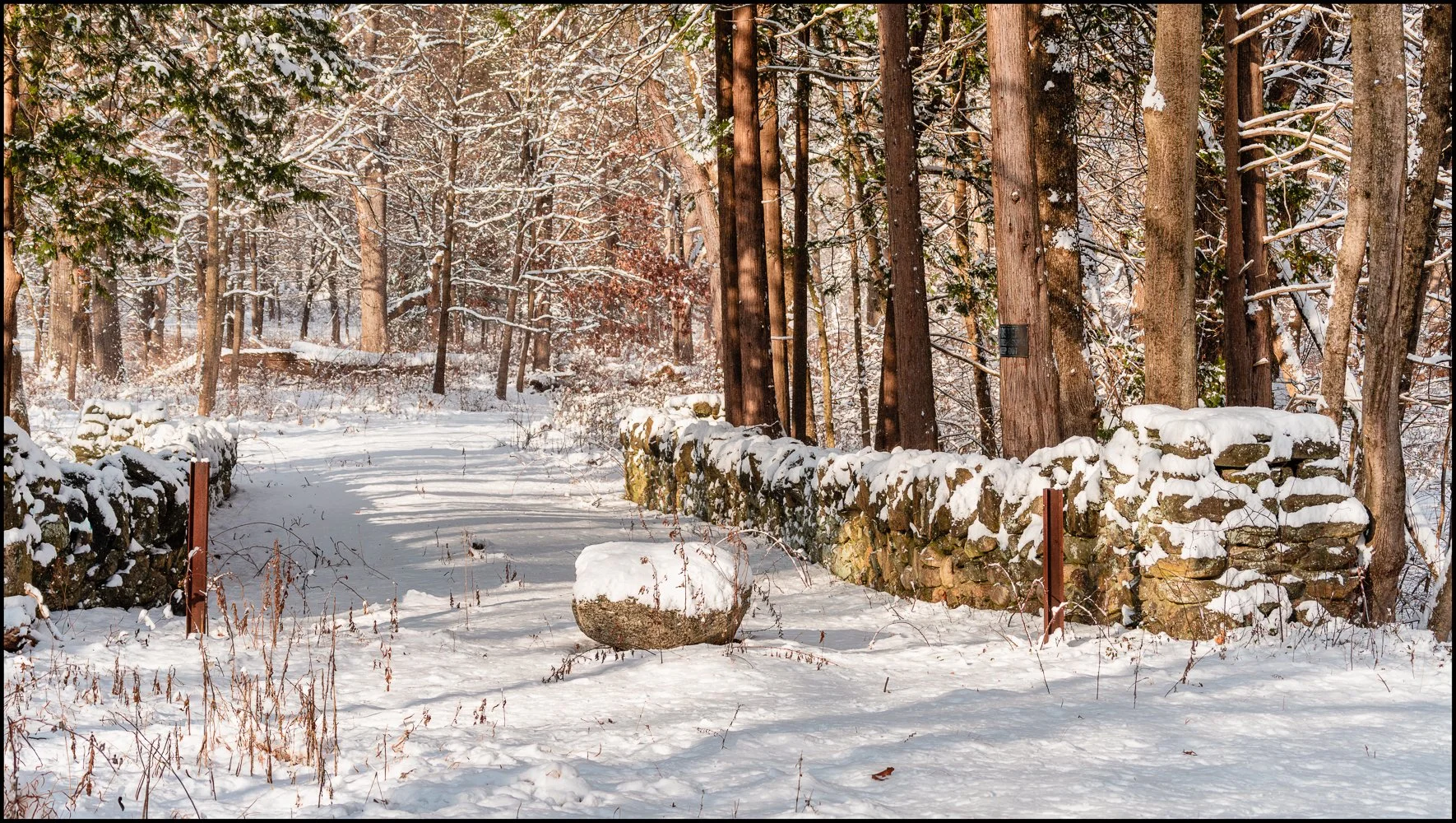 firstsnow2025 (8 of 28).jpg