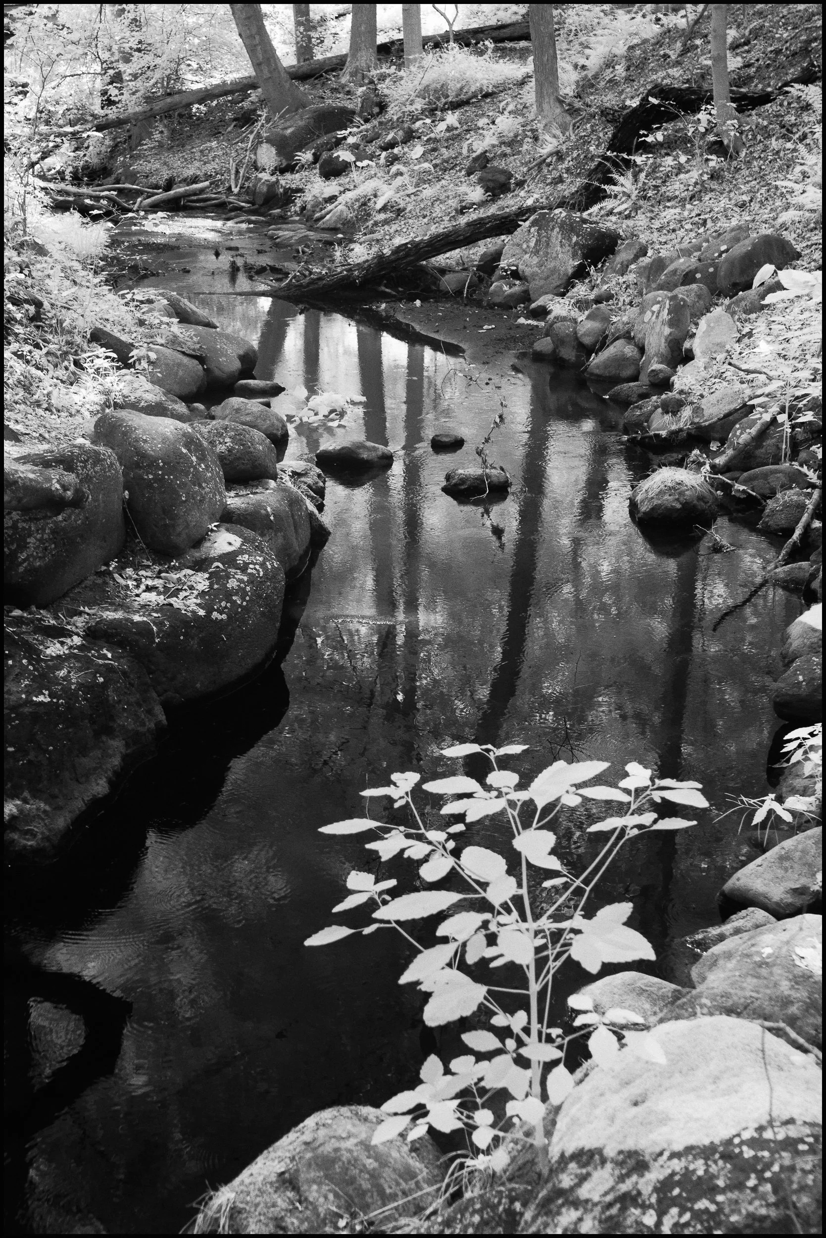 rockwoodhallir (25 of 25).jpg